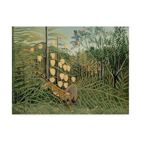 Henri Rousseau 'In The Tropical Forest' Canvas Art,18x24